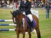 broodmare Cherry-Lady 3 (German Riding Pony, 2005, from Chicago)