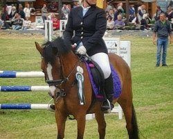 broodmare Cherry-Lady 3 (German Riding Pony, 2005, from Chicago)