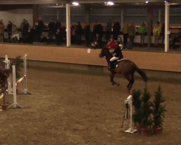 Reitturnier Alt Marl 2018