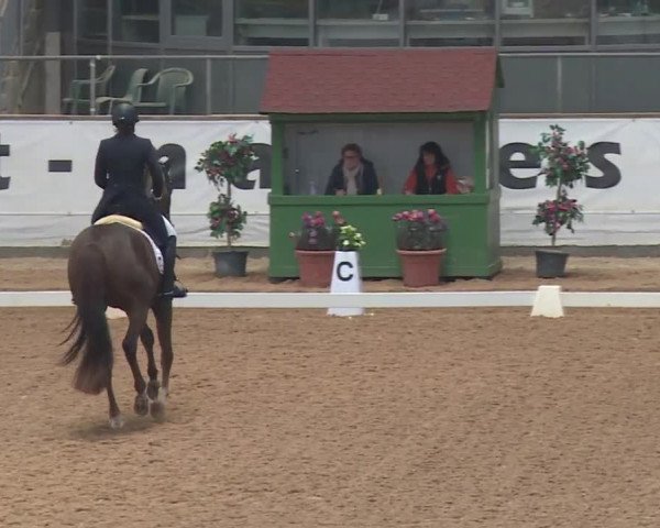 Reitturnier Kreuth 2018