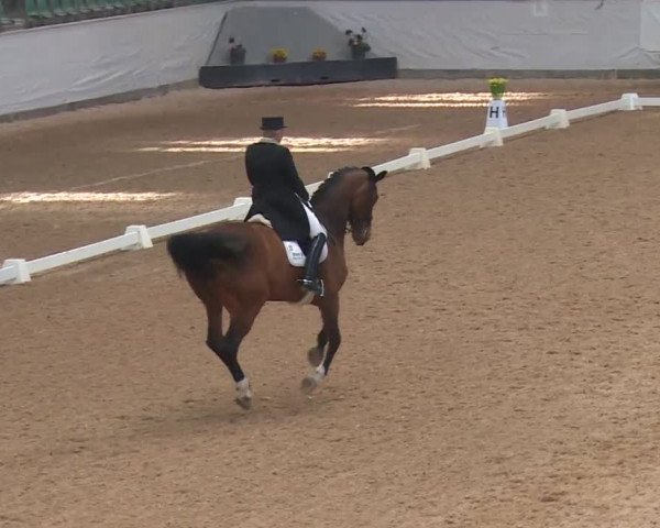 Reitturnier Kreuth 2018