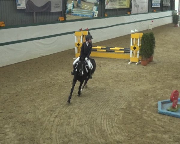 Reitturnier Monheim - Gut Blee 2018