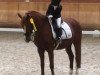 dressage horse Champ 78 (German Riding Pony, 1996, from Chantre B)