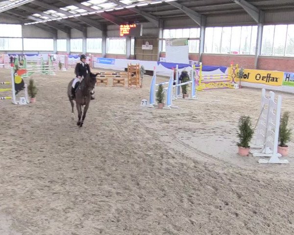 Reitturnier Greven 2018