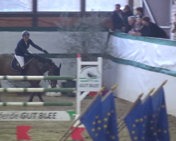 Reitturnier Monheim - Gut Blee 2018