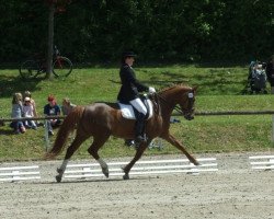 broodmare Lenya CS (German Warmblood, 2007, from Lindbergh)