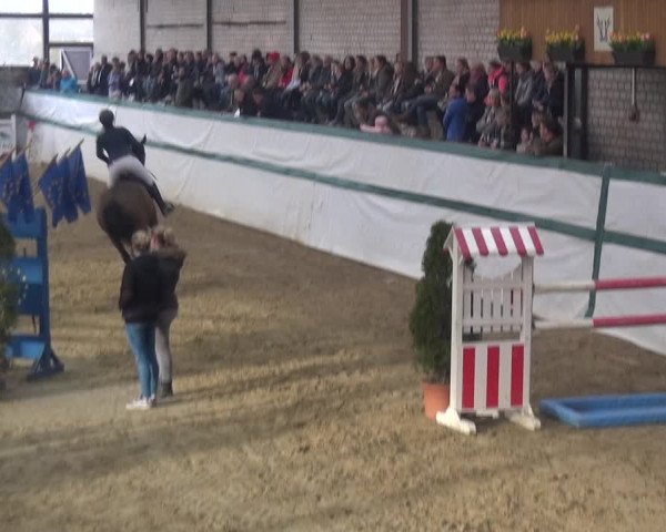 Reitturnier Monheim - Gut Blee 2018