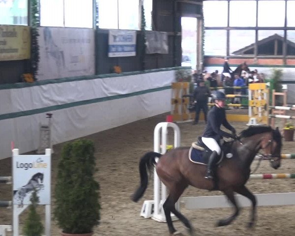 Reitturnier Monheim - Gut Blee 2018
