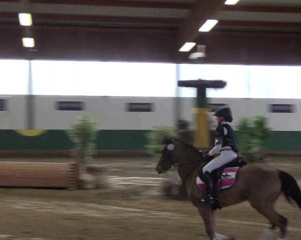 Reitturnier Warendorf-Freckenhorst 2018
