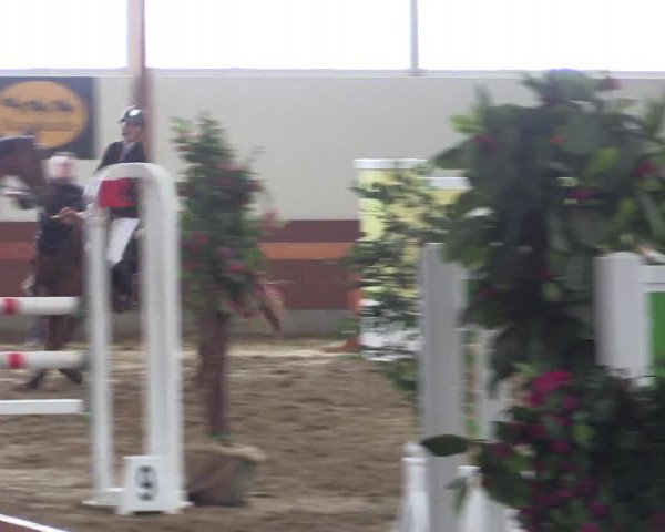Reitturnier Warendorf-Freckenhorst 2018