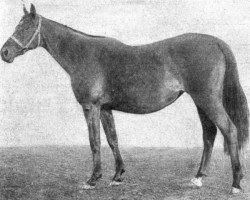 broodmare Pastoral xx (Thoroughbred, 1918, from Promomen xx)