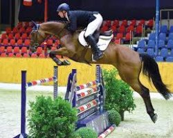 jumper Centarew (Oldenburg show jumper, 2011, from Centadel)