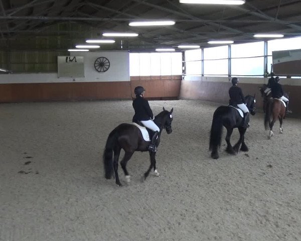 Reitturnier Leichlingen-Witzhelden 2018