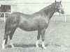 broodmare Reeves Fairy Lustre (Welsh-Pony (Section B), 1961, from Kirby Cane Shuttlecock)