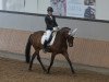 dressage horse Delanah (Rhinelander, 2010, from Delamanga)