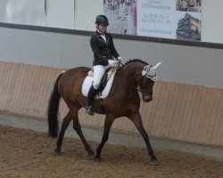 dressage horse Delanah (Rhinelander, 2010, from Delamanga)