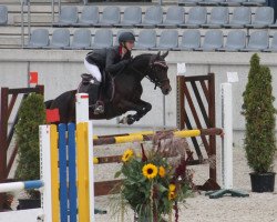 jumper Fine Vicky (German Riding Pony, 2011, from For Next Generation)