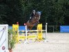 jumper Pius S (Hanoverian, 2007, from Prominenz)