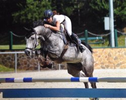 jumper Templemoyle Lucy Lux (Irish Sport Horse, 2009, from Lux Z)