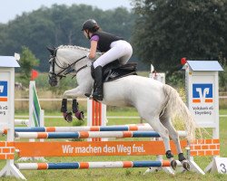 jumper Stella (German Riding Pony, 2001)