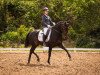 dressage horse La Perla Brillante (Hanoverian, 2012, from Londontime)