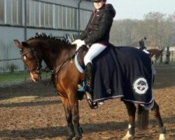 jumper Muffin fleur (German Riding Pony, 2009, from Miraculix)