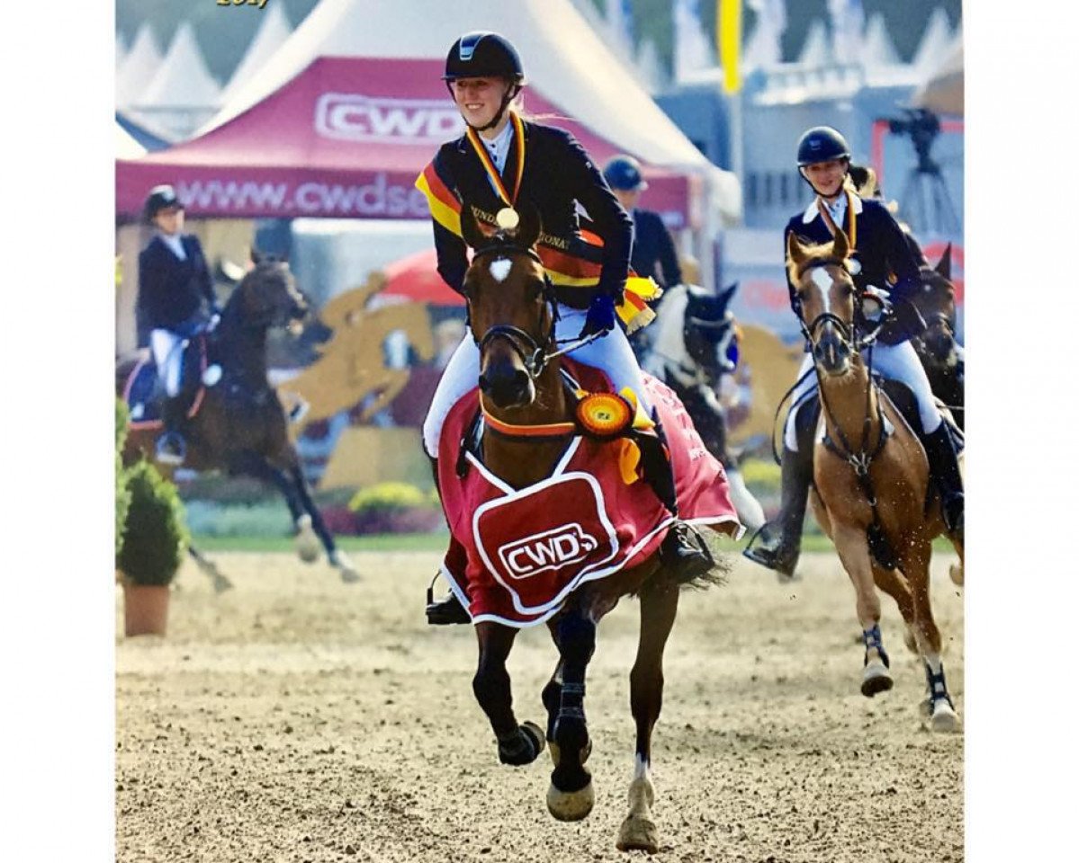 jumper Da Capo 226 (German Riding Pony, 2012, from Duncan 86)