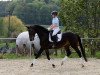 dressage horse Schwalbensternchen (Trakehner, 2012, from All Inclusive)