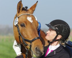 dressage horse Daikir San (German Riding Pony, 2007, from FS Don't Worry)