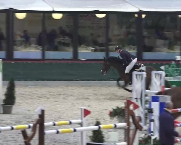 Hallenspringen Oberriet 2018