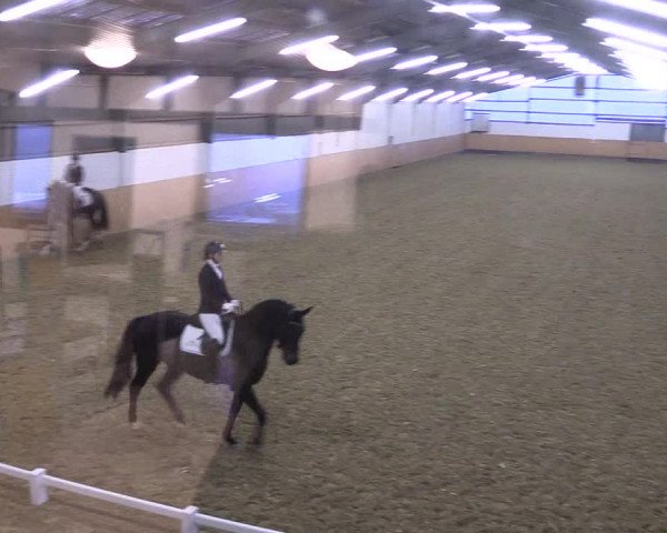 Reitturnier Datteln 2021