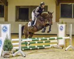 jumper Little big man 42 (Oldenburg show jumper, 2014, from Lyjanero)