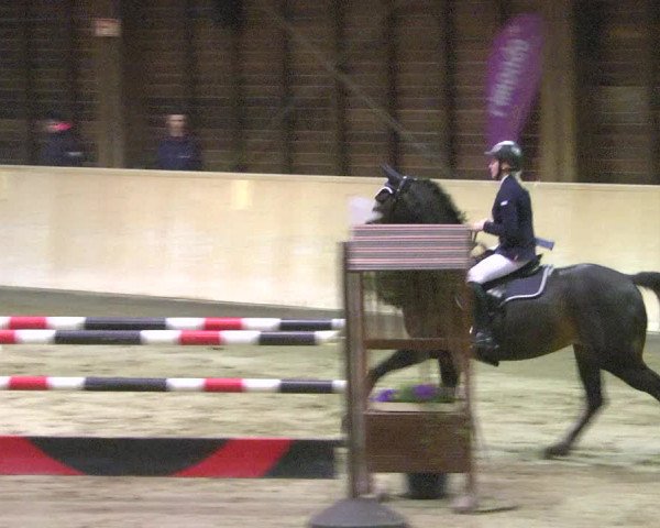 Reitturnier Mannheim-Neckarau 2018