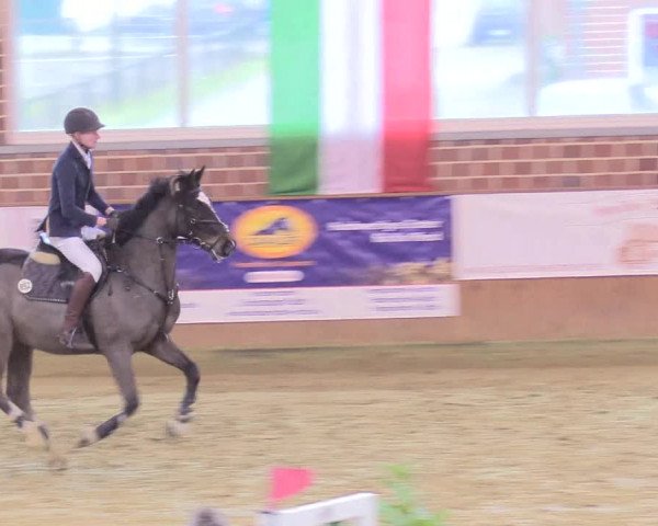 Reitturnier Seppenrade 2018