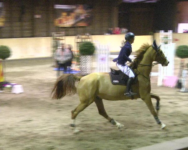 Reitturnier Mannheim-Neckarau 2018