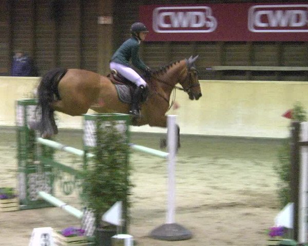 Reitturnier Mannheim-Neckarau 2018