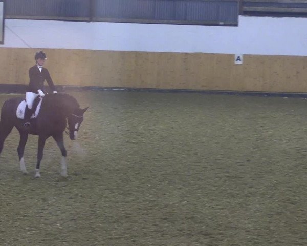 Reitturnier Datteln 2021