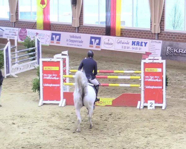 Reitturnier Seppenrade 2018