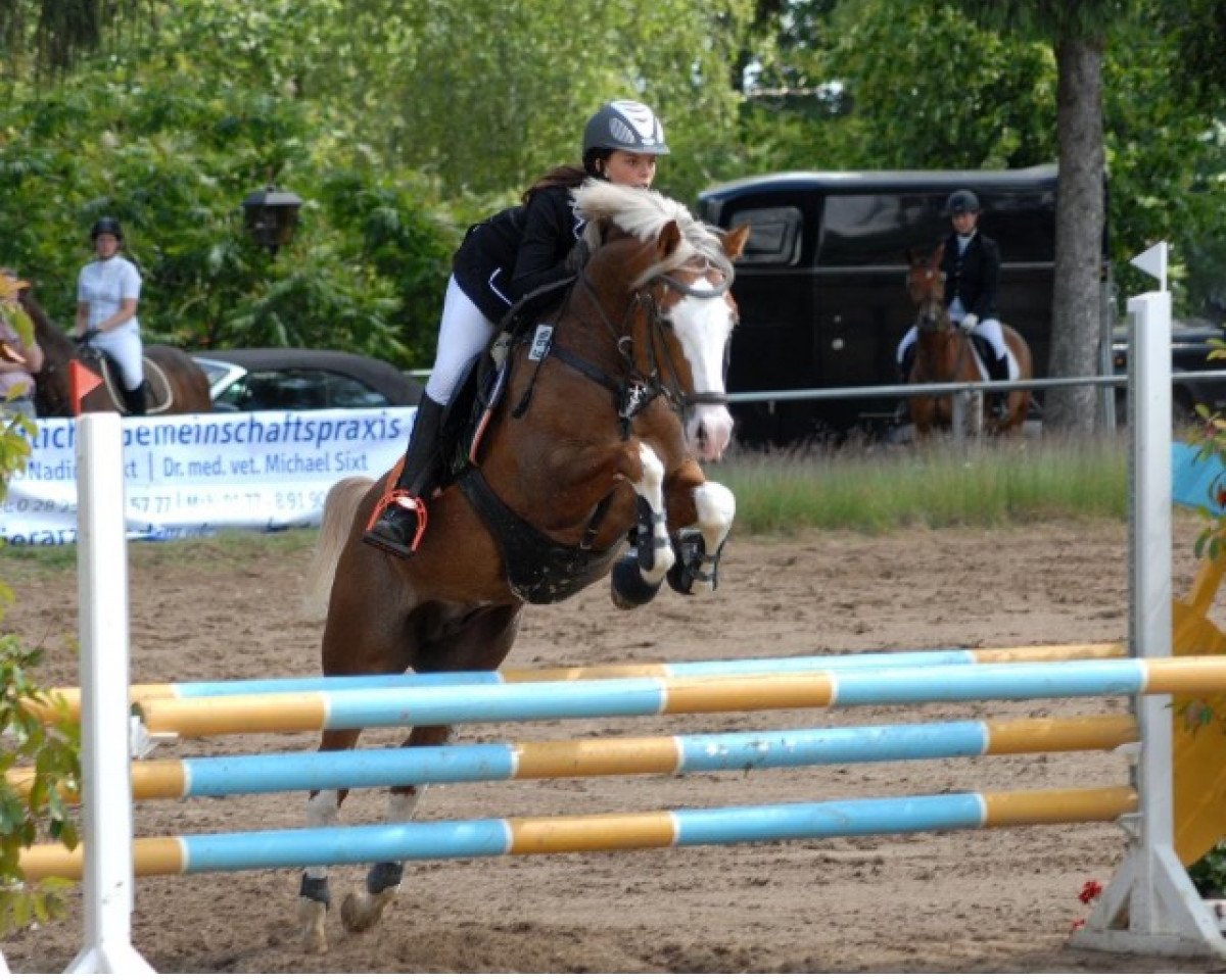 stallion Paul SG (Rhinelander, 2005, from Pilatus)