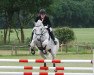 dressage horse Trakes (Trakehner, 1999, from Marduc)