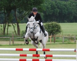 dressage horse Trakes (Trakehner, 1999, from Marduc)