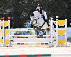 jumper Quite Quality 3 (Oldenburg show jumper, 2006, from Quite Capitol)