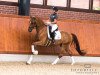 dressage horse Dime Royal (Oldenburg, 2013, from Dimaggio)