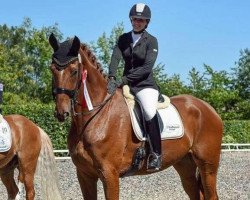 dressage horse Liebster (Hanoverian, 2008, from Londonderry)