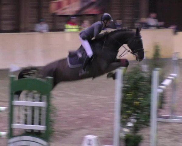 Reitturnier Mannheim-Neckarau 2018