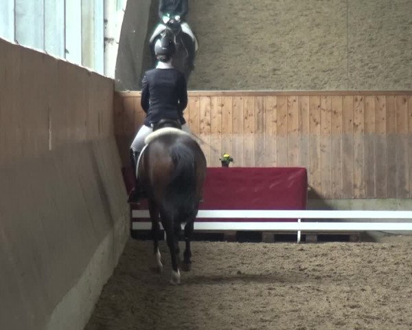 Reitturnier Mettmann - Reitanlage Löckenhoff 2018
