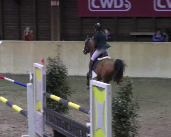 Reitturnier Mannheim-Neckarau 2018