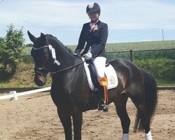 dressage horse Fara Bella (Westphalian, 2012, from Foundation 2)