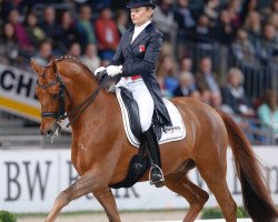 dressage horse Smeyers Lazander (Danish Warmblood, 2001, from Solos Landtinus)