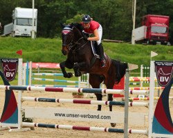 jumper Captain Celestro (German Sport Horse, 2008, from Charon)